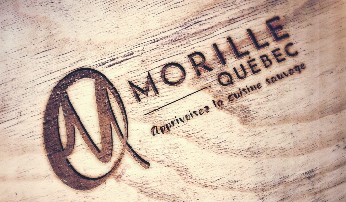 Morille Québec La nouvelle image de Morille Québec