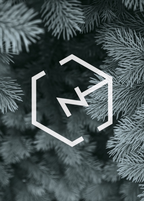 cen-logo-photo-sapin Image de marque CEN en blanc sur photo