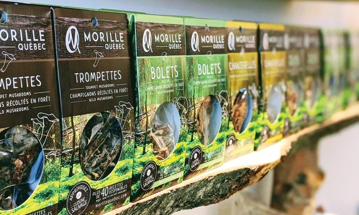 morilleqc-boites-champignons